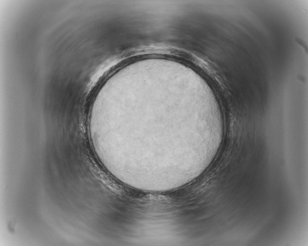 X0000102511312200808291725