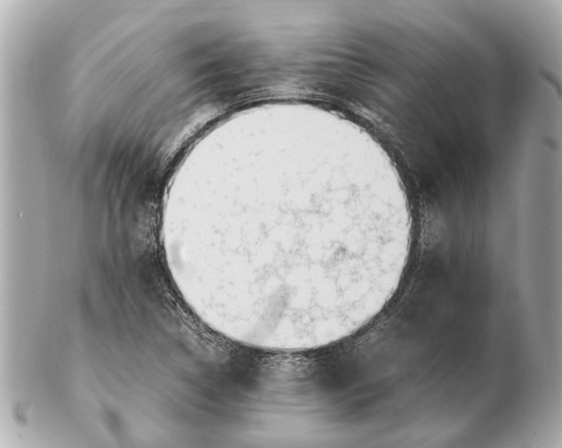 X0000102511314200808291725