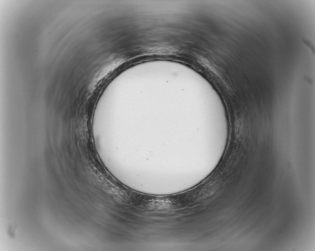 X0000102511315200808291725