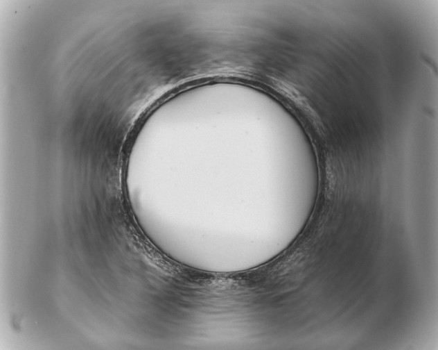 X0000102511316200808291725