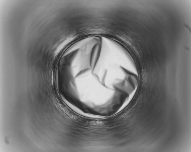 X0000102511317200808291725