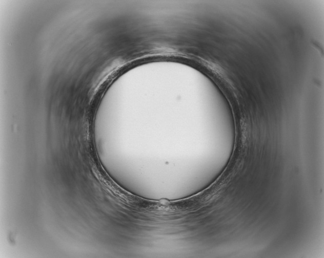 X0000102511318200808291725