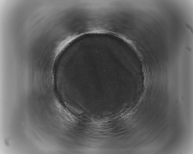 X0000102511319200808291725