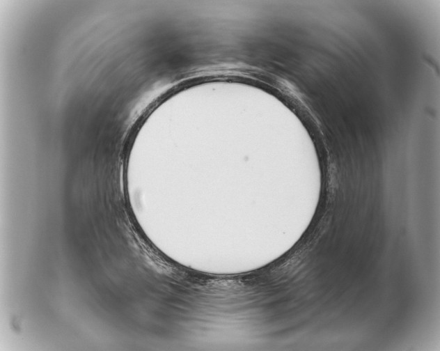 X0000102511320200808291725