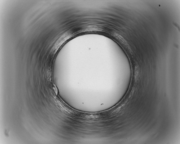 X0000102511321200808291725