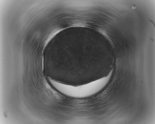X0000102511323200808291725