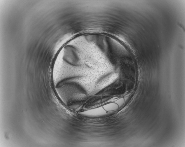 X0000102511325200808291725