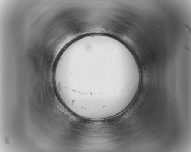 X0000102511326200808291725