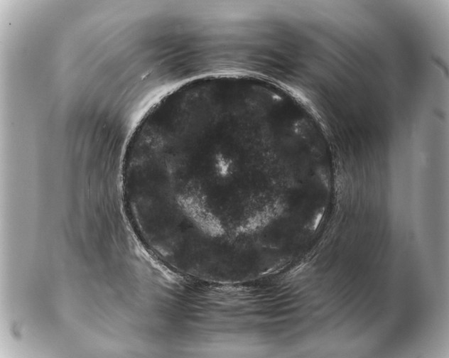X0000102511327200808291725