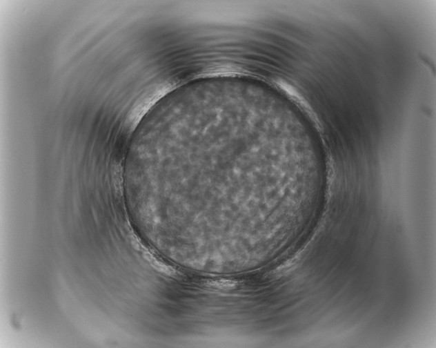 X0000102511329200808291725