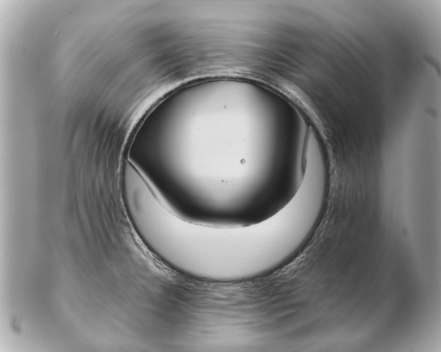 X0000102511332200808291725