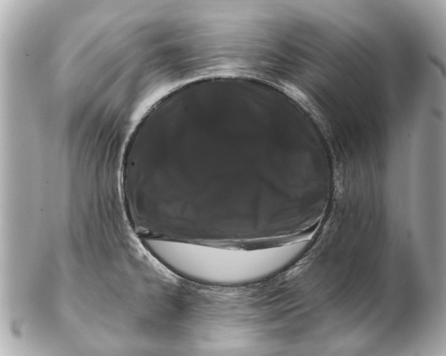 X0000102511334200808291725