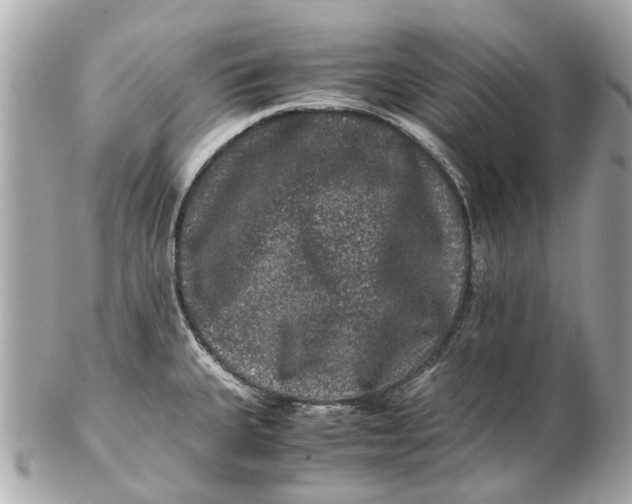 X0000102511335200808291725