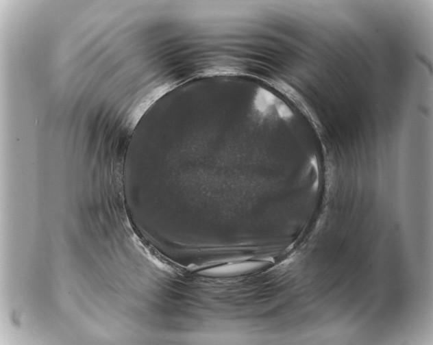 X0000102511337200808291725