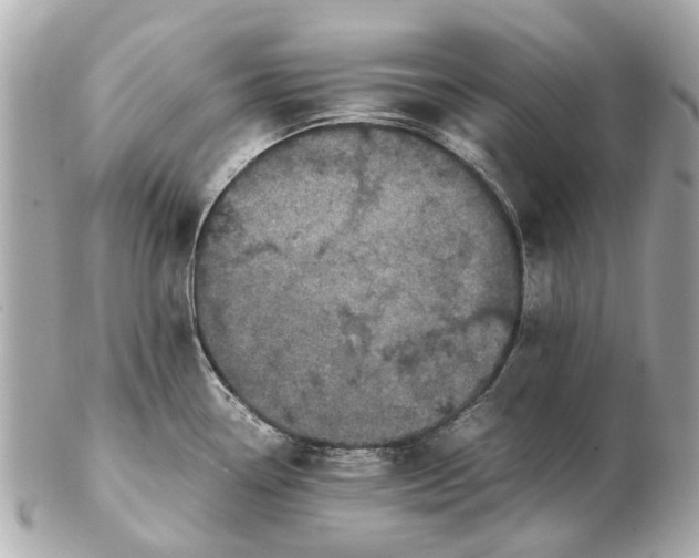 X0000102511338200808291725