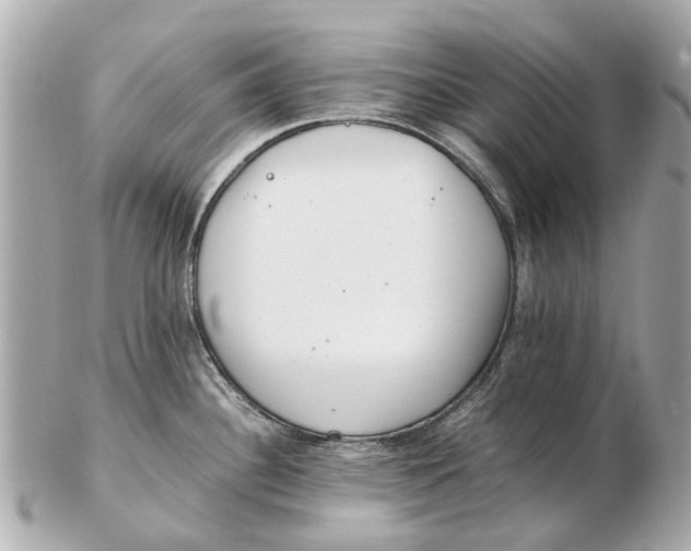 X0000102511340200808291725