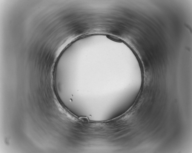 X0000102511341200808291725
