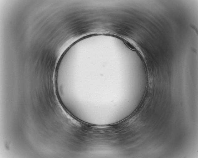 X0000102511343200808291725