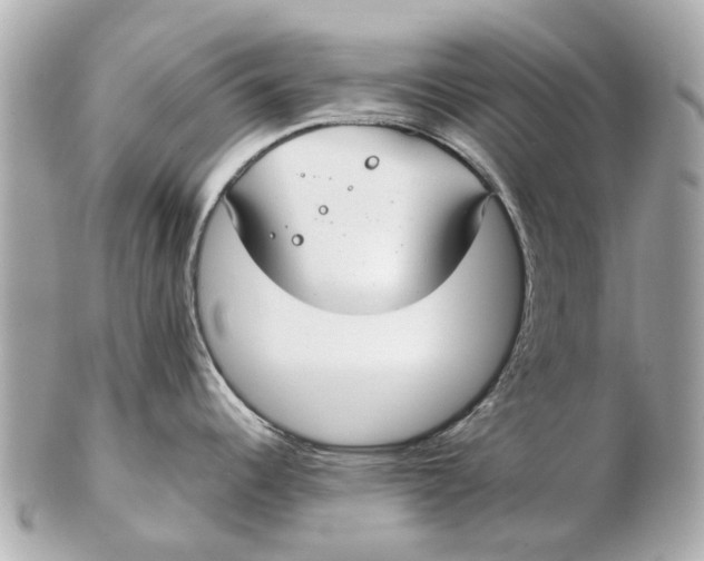 X0000102511344200808291725
