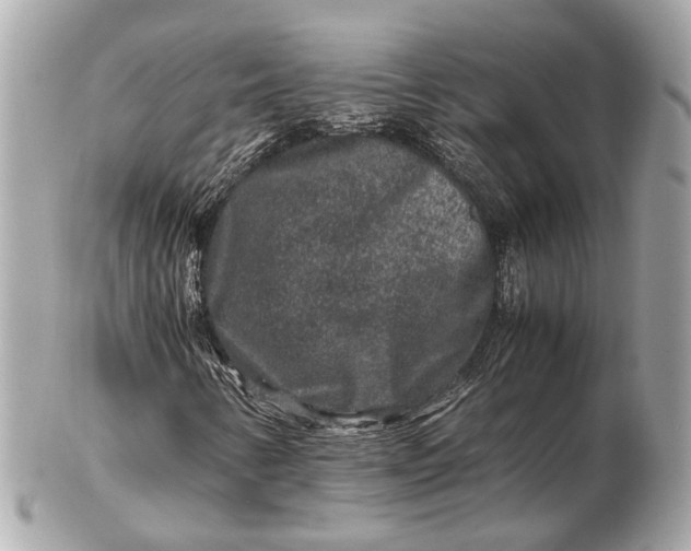 X0000102511346200808291724