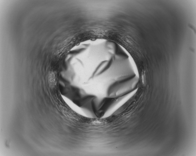 X0000102511347200808291724