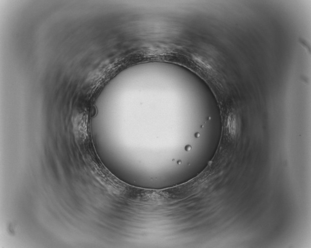 X0000102511348200808291724