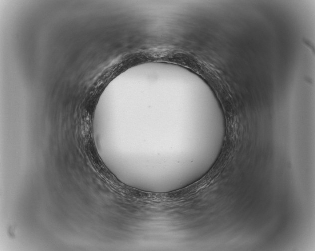 X0000102511349200808291724