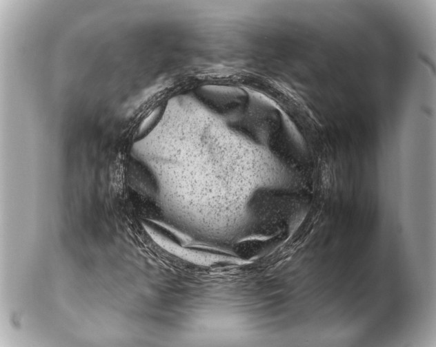 X0000102511350200808291724