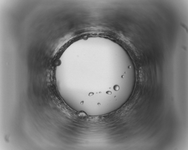 X0000102511352200808291724