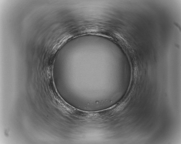 X0000102511353200808291724