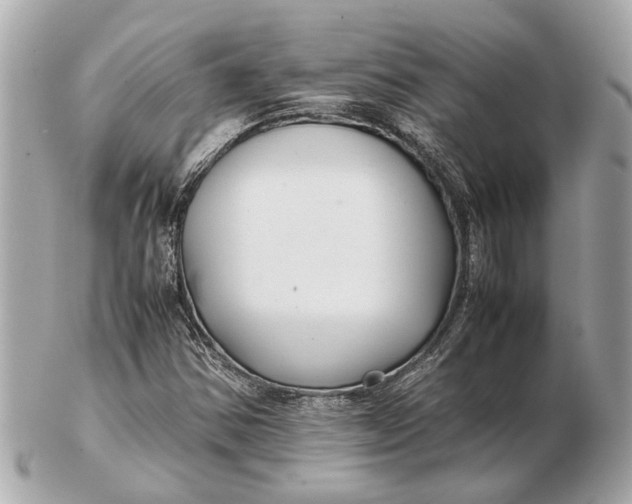 X0000102511354200808291724