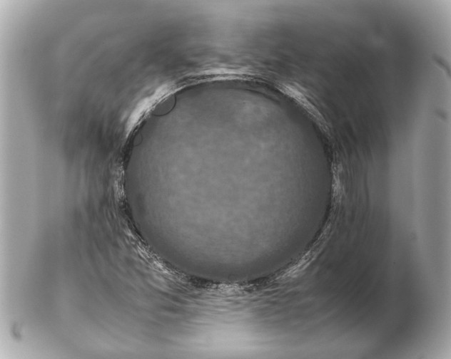 X0000102511357200808291724