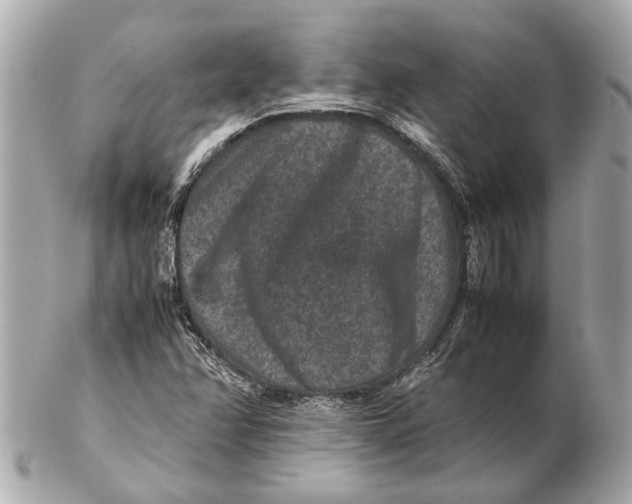 X0000102511358200808291724