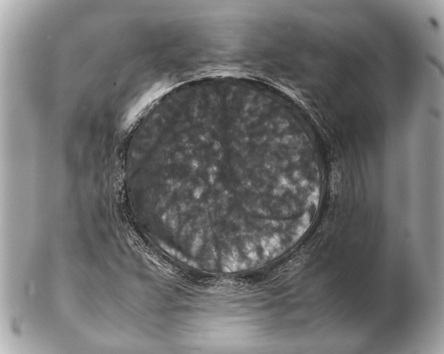 X0000102511359200808291724