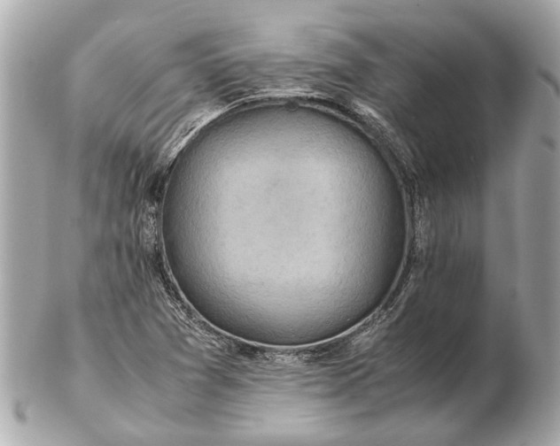 X0000102511361200808291724