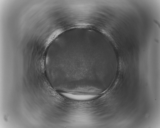 X0000102511362200808291724