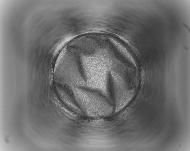 X0000102511363200808291724