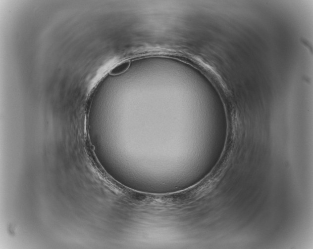 X0000102511365200808291724