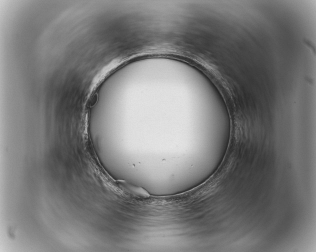 X0000102511366200808291724