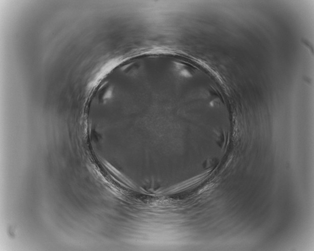 X0000102511367200808291724