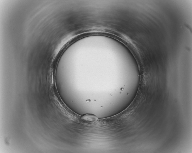 X0000102511368200808291724
