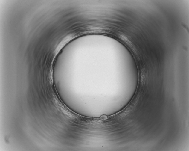 X0000102511370200808291724