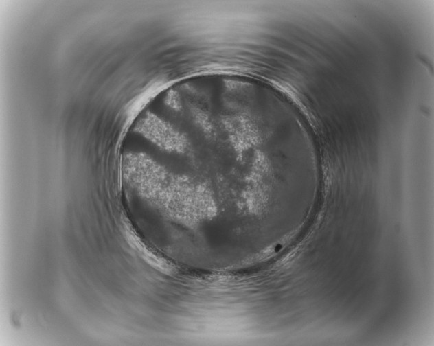 X0000102511371200808291724