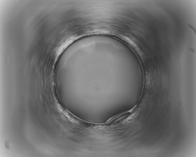 X0000102511373200808291724