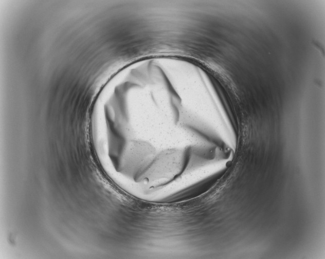 X0000102511374200808291724