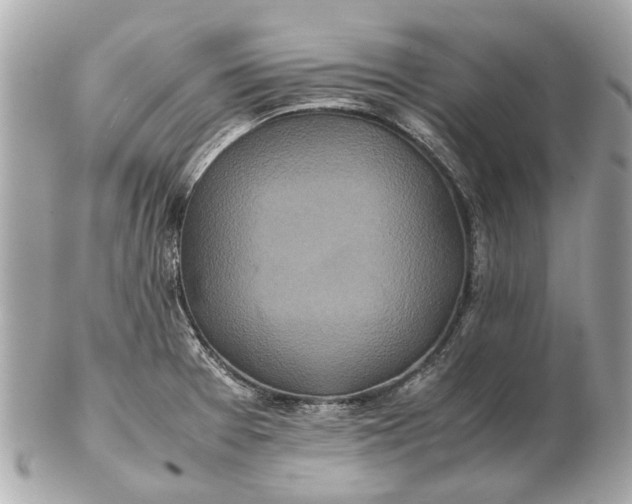 X0000102511377200808291724