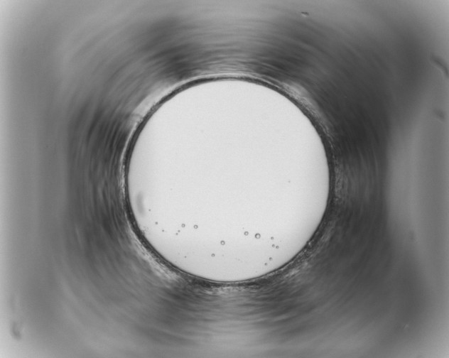 X0000102511380200808291724