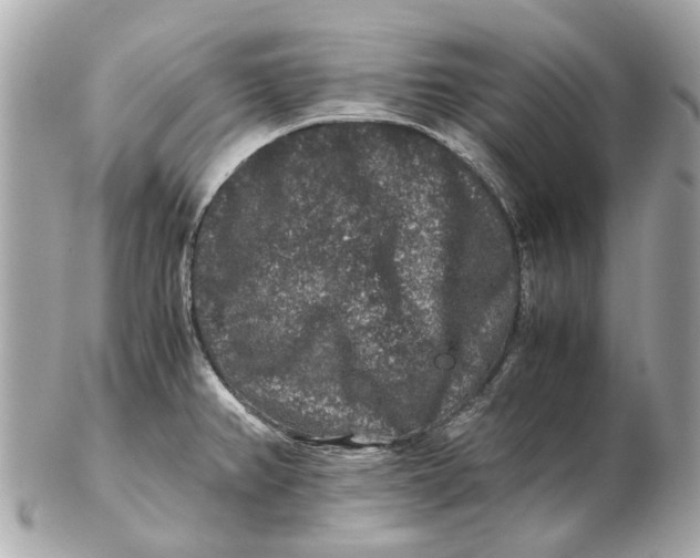 X0000102511382200808291724