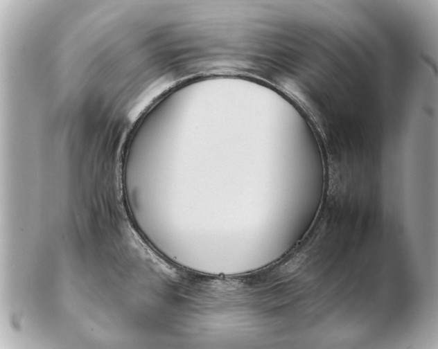 X0000102511384200808291724
