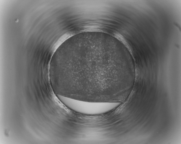 X0000102511386200808291724